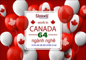 CẬP NHẬT DANH SÁCH NOC – 64 NGÀNH NGHỀ TẠI CANADA CHO PHÉP NHẬP CƯ TẠI CANADA