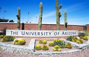 NGÀNH QUẢN LÝ HỆ THỐNG DỮ LIỆU – ĐẠI HỌC ARIZONA